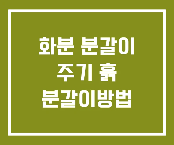 화분 분갈이 주기 흙 분갈이방법