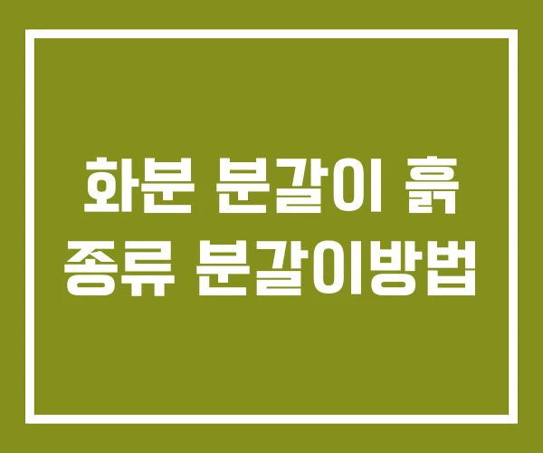 화분 분갈이 흙 종류 분갈이방법