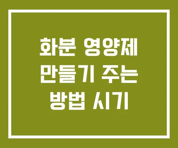 화분 영양제 만들기 주는 방법 시기