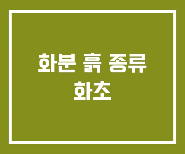 화분 흙 종류 화초
