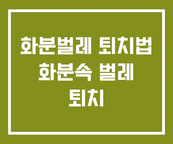 화분벌레 퇴치법 화분속 벌레 퇴치