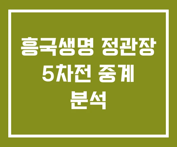 흥국생명 정관장 5차전 중계 분석
