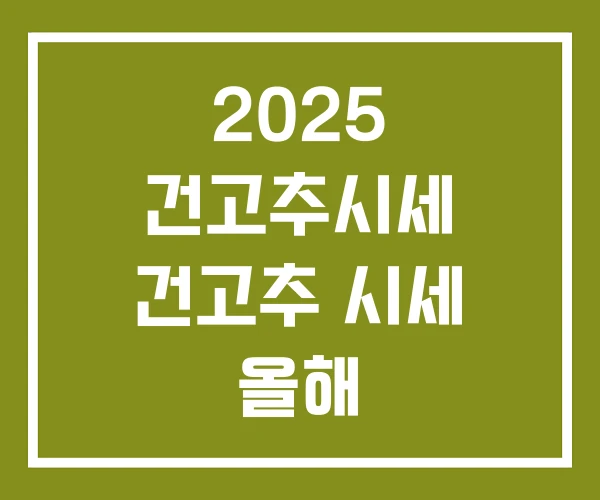 2025 건고추시세 건고추 시세 올해