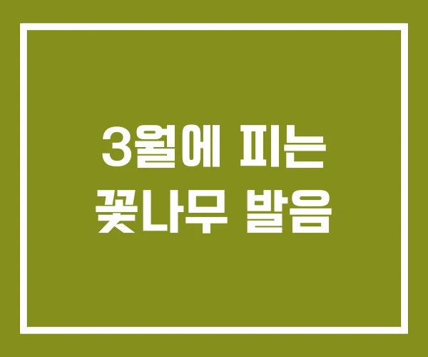 3월에 피는 꽃나무 발음