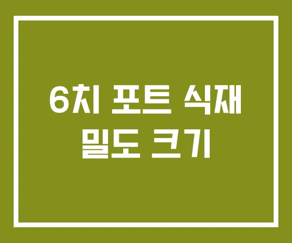 6치 포트 식재 밀도 크기