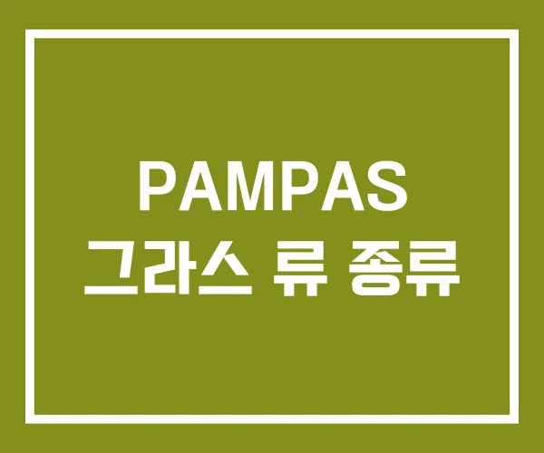 PAMPAS 그라스 류 종류