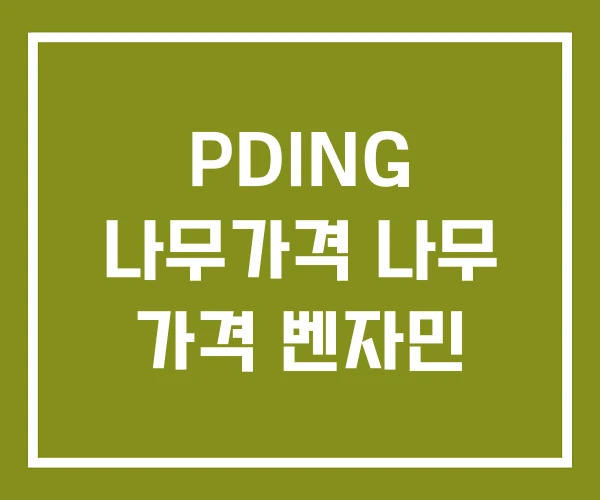 PDING 나무가격 나무 가격 벤자민