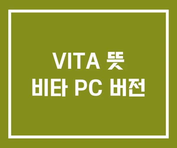 VITA 뜻 비타 PC 버전