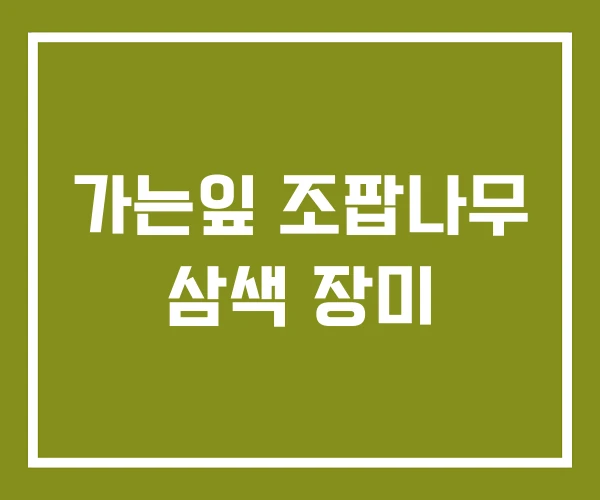 가는잎 조팝나무 삼색 장미