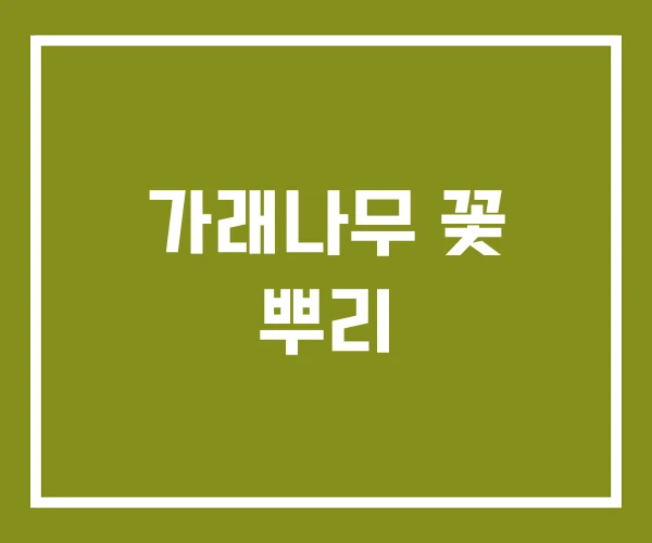 가래나무 꽃 뿌리