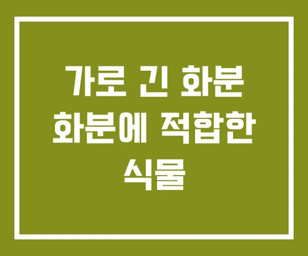 가로 긴 화분 화분에 적합한 식물