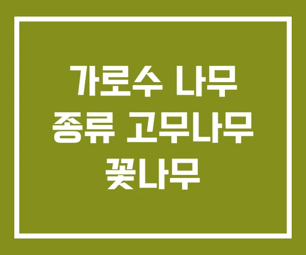 가로수 나무 종류 고무나무 꽃나무