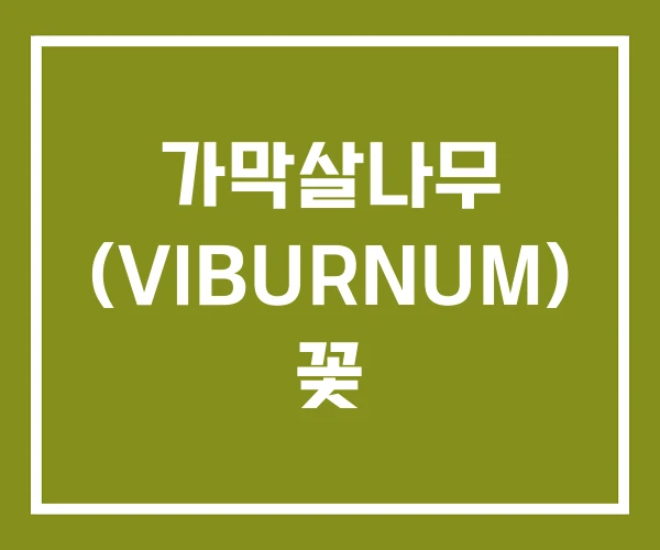 가막살나무 (VIBURNUM) 꽃