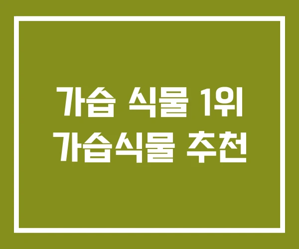 가습 식물 1위 가습식물 추천