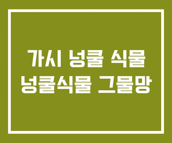 가시 넝쿨 식물 넝쿨식물 그물망