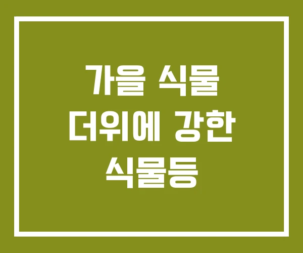 가을 식물 더위에 강한 식물등