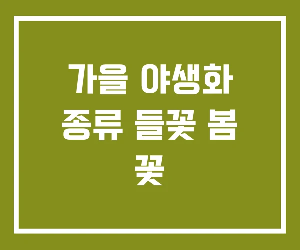 가을 야생화 종류 들꽃 봄 꽃