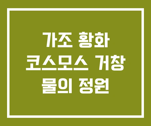 가조 황화 코스모스 거창 물의 정원