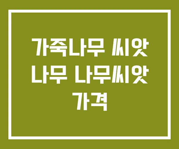 가죽나무 씨앗 나무 나무씨앗 가격