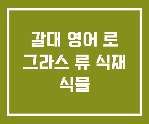 갈대 영어 로 그라스 류 식재 식물