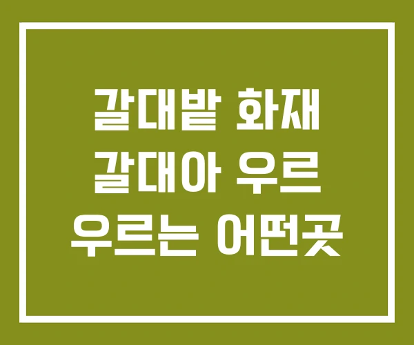 갈대밭 화재 갈대아 우르 우르는 어떤곳