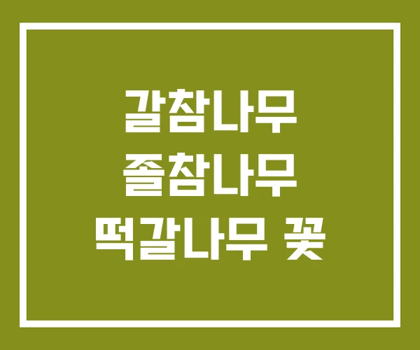 갈참나무 졸참나무 떡갈나무 꽃