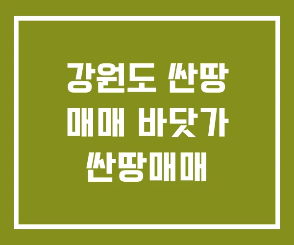 강원도 싼땅 매매 바닷가 싼땅매매