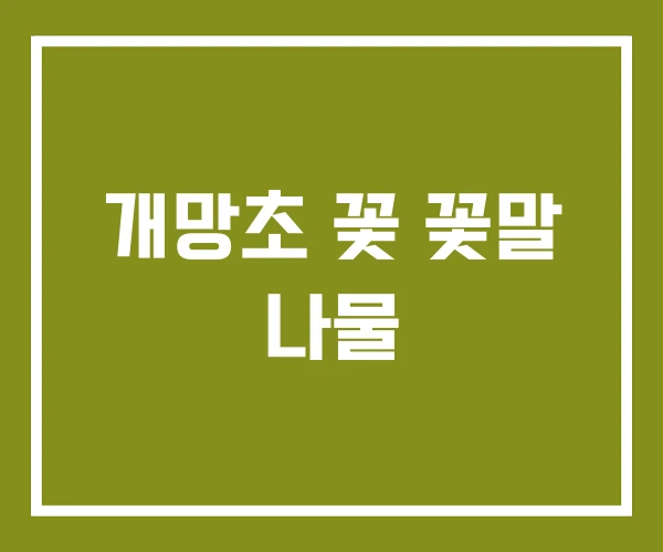 개망초 꽃 꽃말 나물