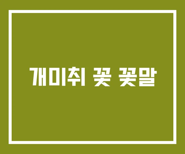 개미취 꽃 꽃말