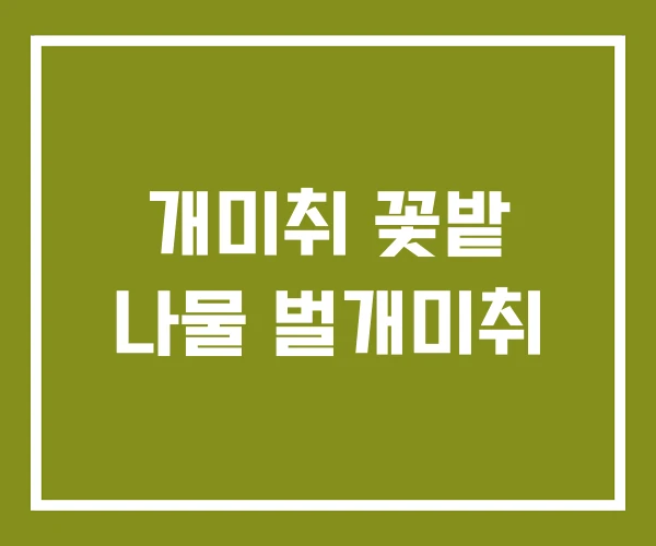 개미취 꽃밭 나물 벌개미취