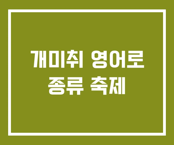 개미취 영어로 종류 축제