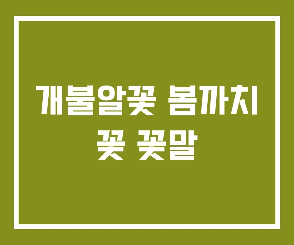 개불알꽃 봄까치 꽃 꽃말