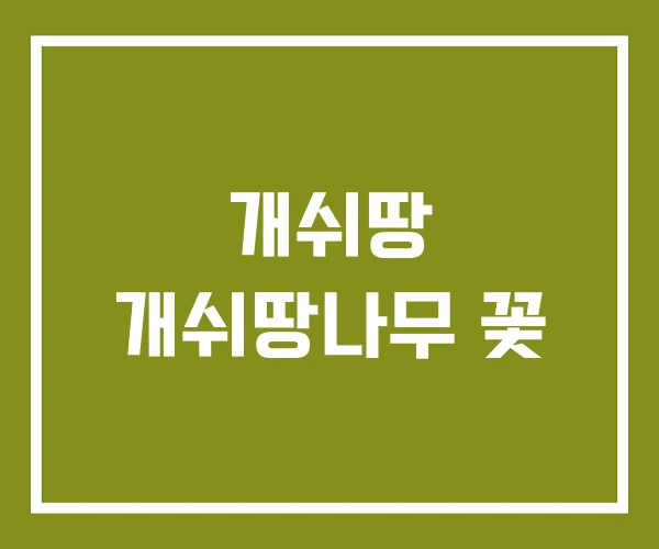 개쉬땅 개쉬땅나무 꽃