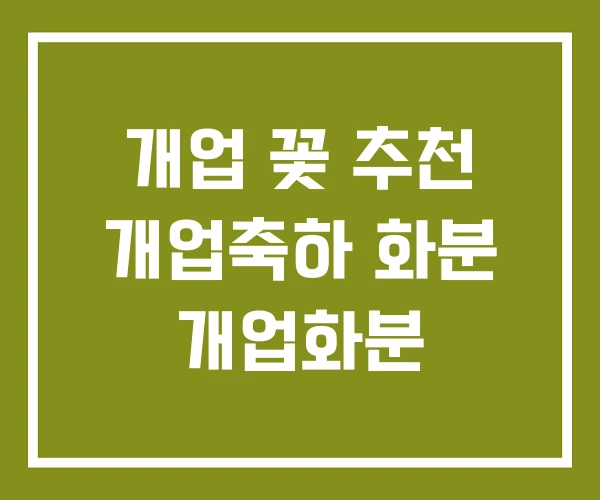 개업 꽃 추천 개업축하 화분 개업화분