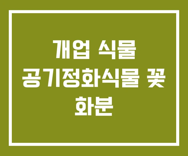 개업 식물 공기정화식물 꽃 화분