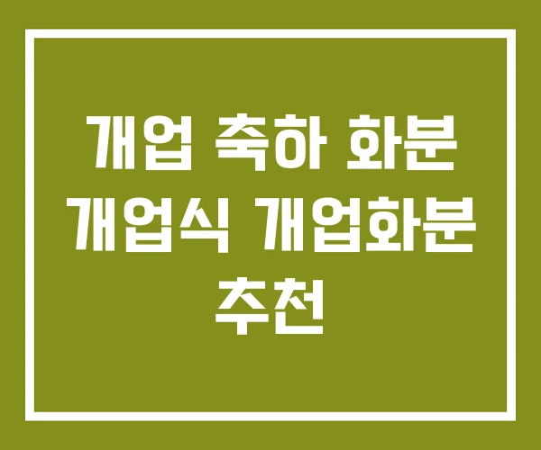 개업 축하 화분 개업식 개업화분 추천