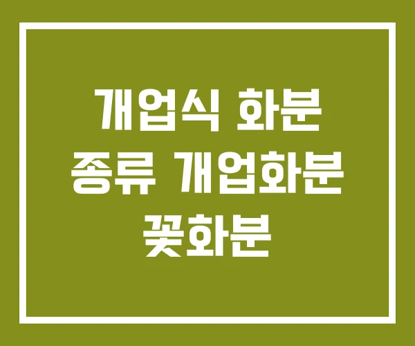개업식 화분 종류 개업화분 꽃화분