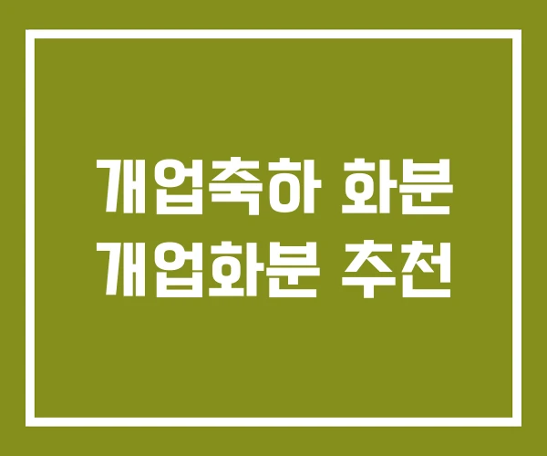 개업축하 화분 개업화분 추천