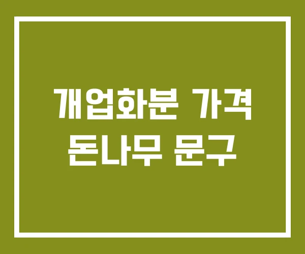 개업화분 가격 돈나무 문구