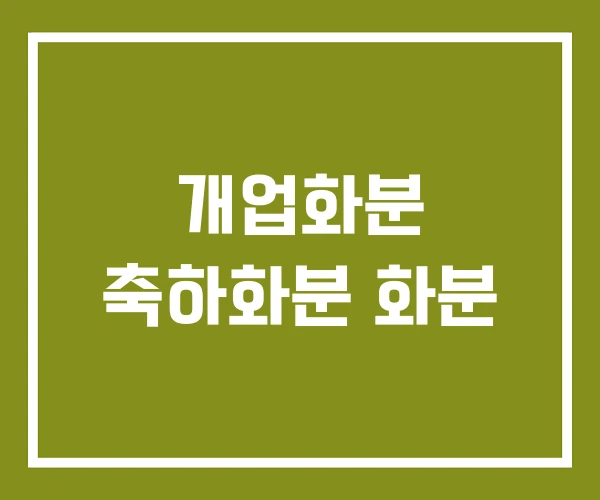 개업화분 축하화분 화분