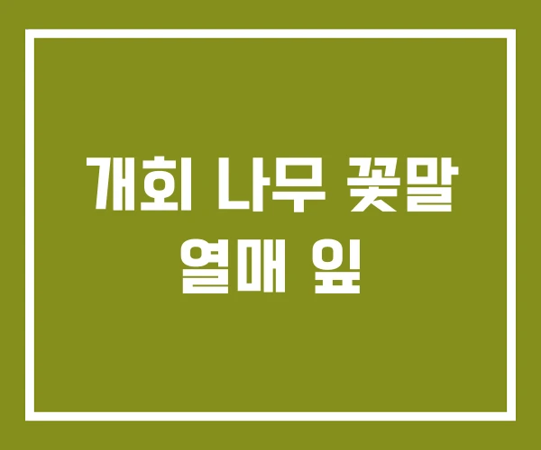 개회 나무 꽃말 열매 잎