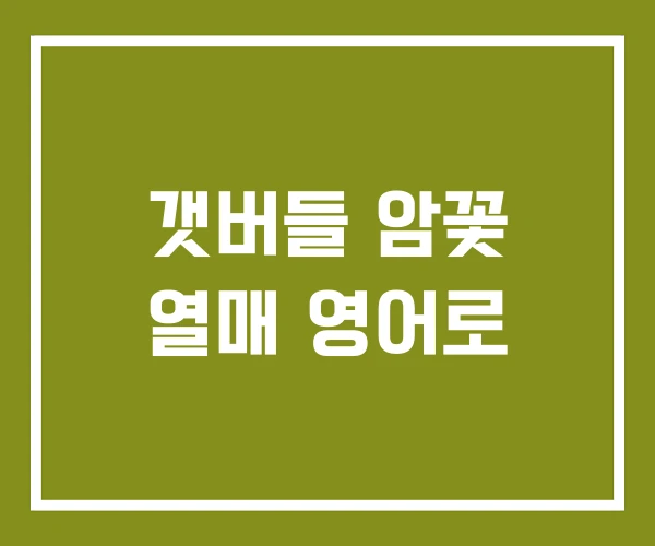 갯버들 암꽃 열매 영어로