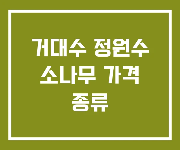 거대수 정원수 소나무 가격 종류