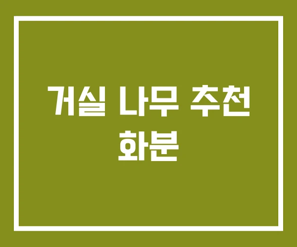 거실 나무 추천 화분