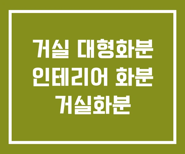 거실 대형화분 인테리어 화분 거실화분