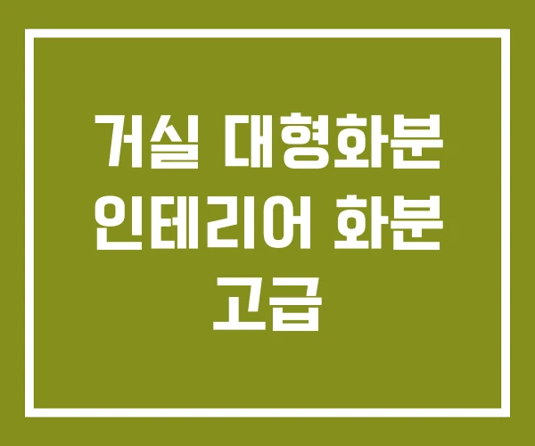 거실 대형화분 인테리어 화분 고급