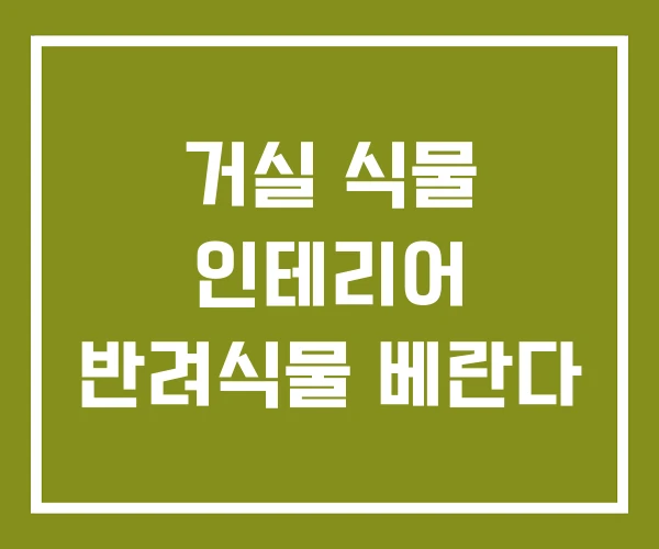 거실 식물 인테리어 반려식물 베란다