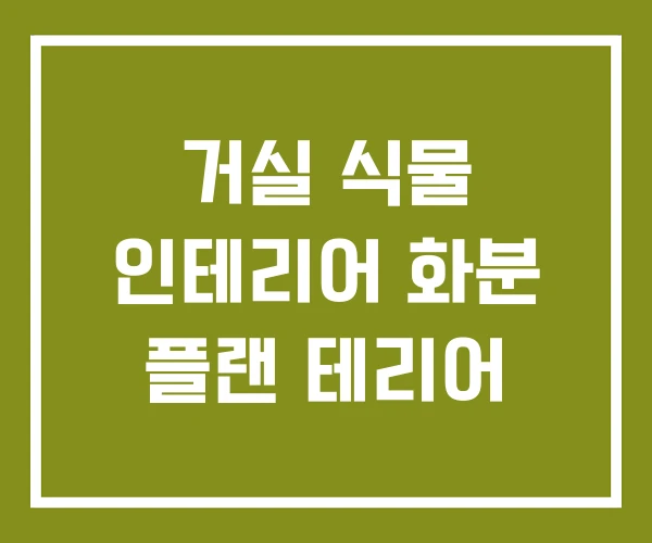 거실 식물 인테리어 화분 플랜 테리어