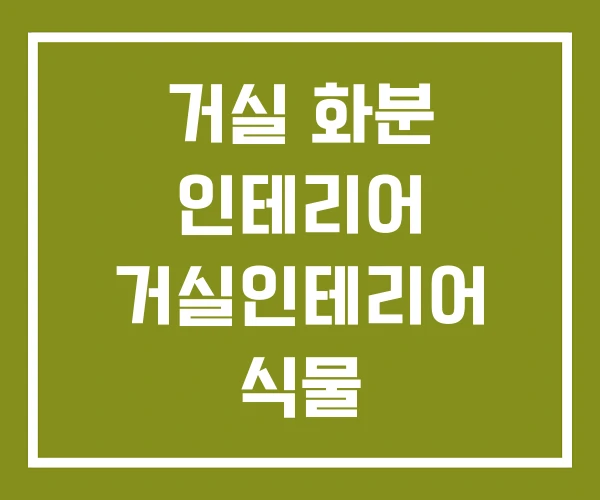 거실 화분 인테리어 거실인테리어 식물