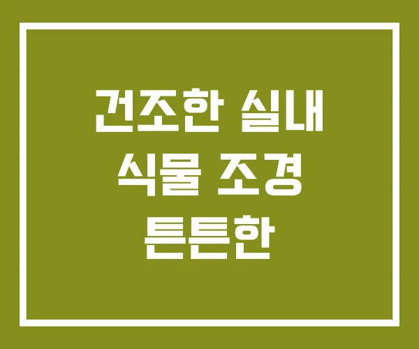 건조한 실내 식물 조경 튼튼한